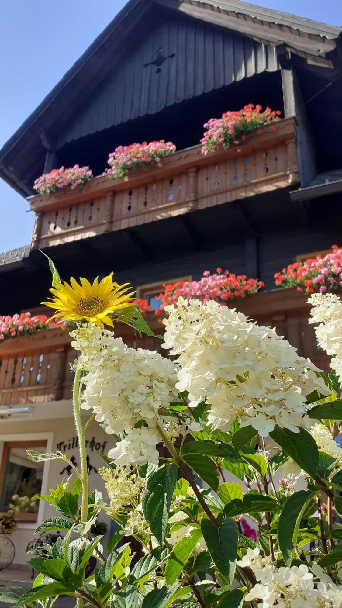 Pension Trillerhof Ramsau am Dachstein Exterior foto