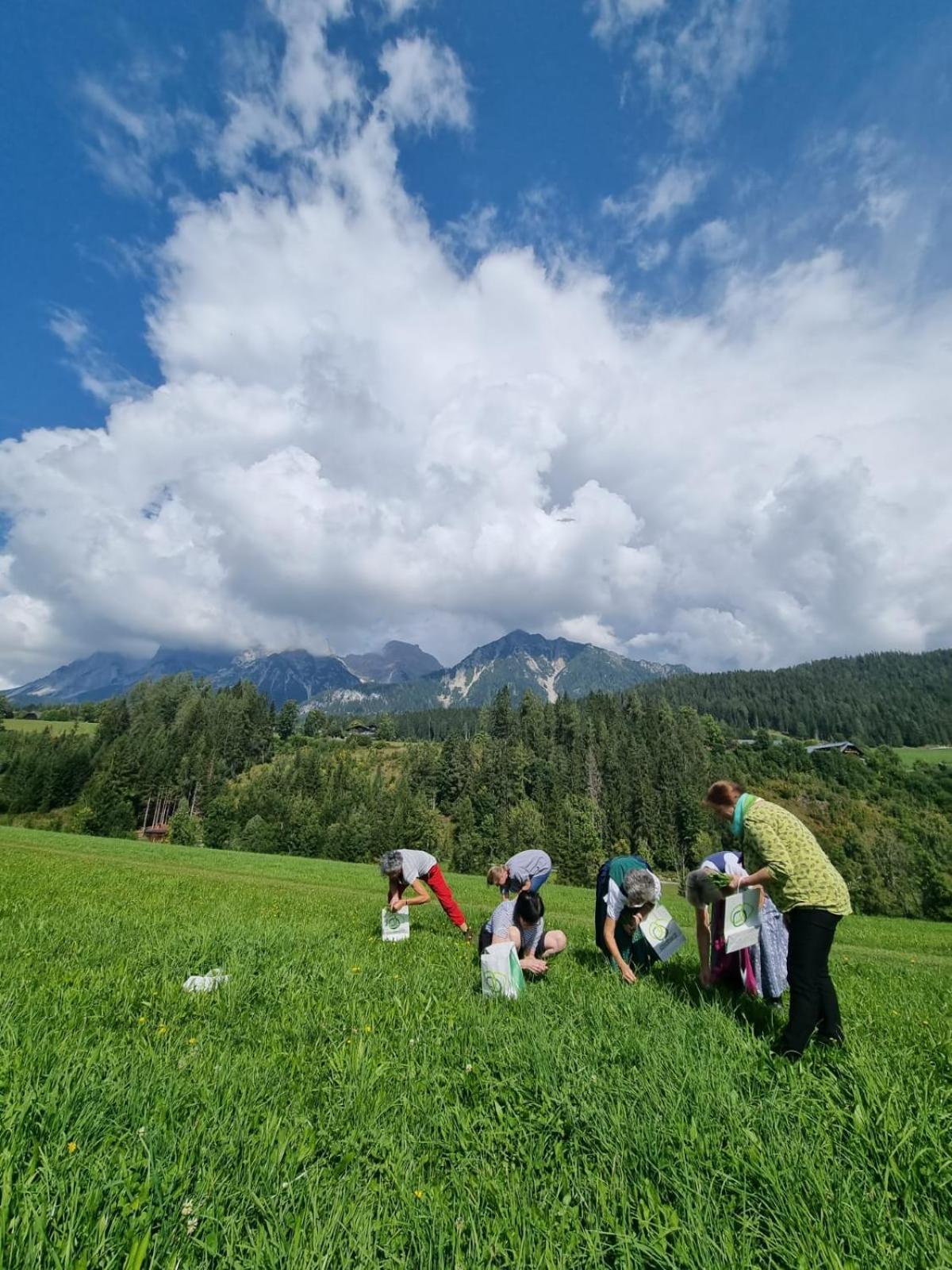 Pension Trillerhof Ramsau am Dachstein Exterior foto